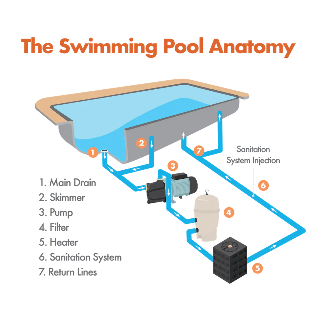Basic Pool Anatomy