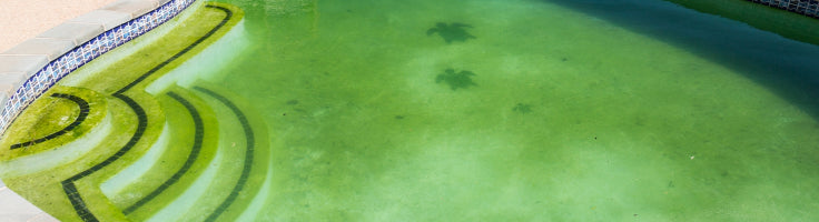 Understanding Phosphates - Sources & Treatment