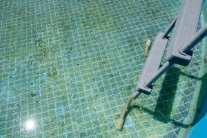Why & when pool water smells...